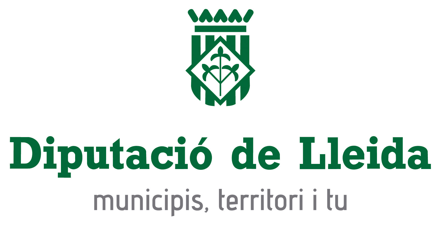 Identidad visual | Diputació de Lleida