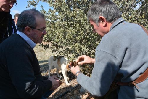 ORIjoan_rene_visita_baronia_rialb_tofona_001_editora_2_6256_1