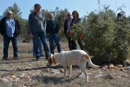 ORIjoan_rene_visita_baronia_rialb_tofona_003_editora_2_6256_2