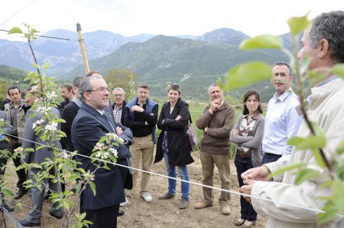 ORIrene_a_la_visita_al_camp_de_pomeres_altitud_1000_metres_2_vr_editora_2_5884_0_1