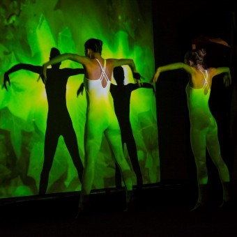 Espectacle Insectum, de David Pradas