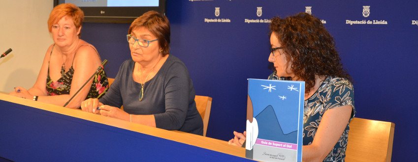 Guia_suport_dol_002_SLI