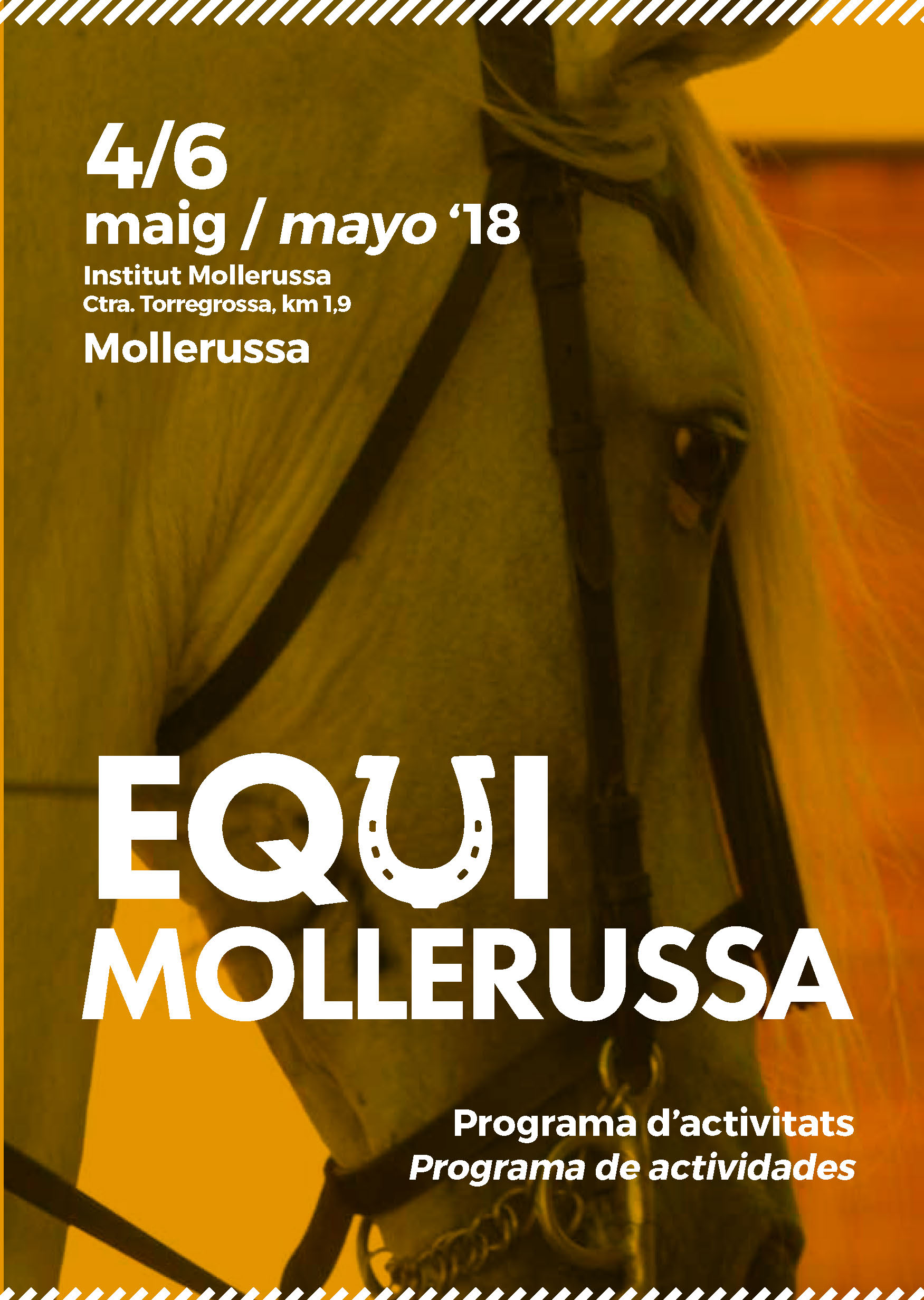 EquiMollerussa