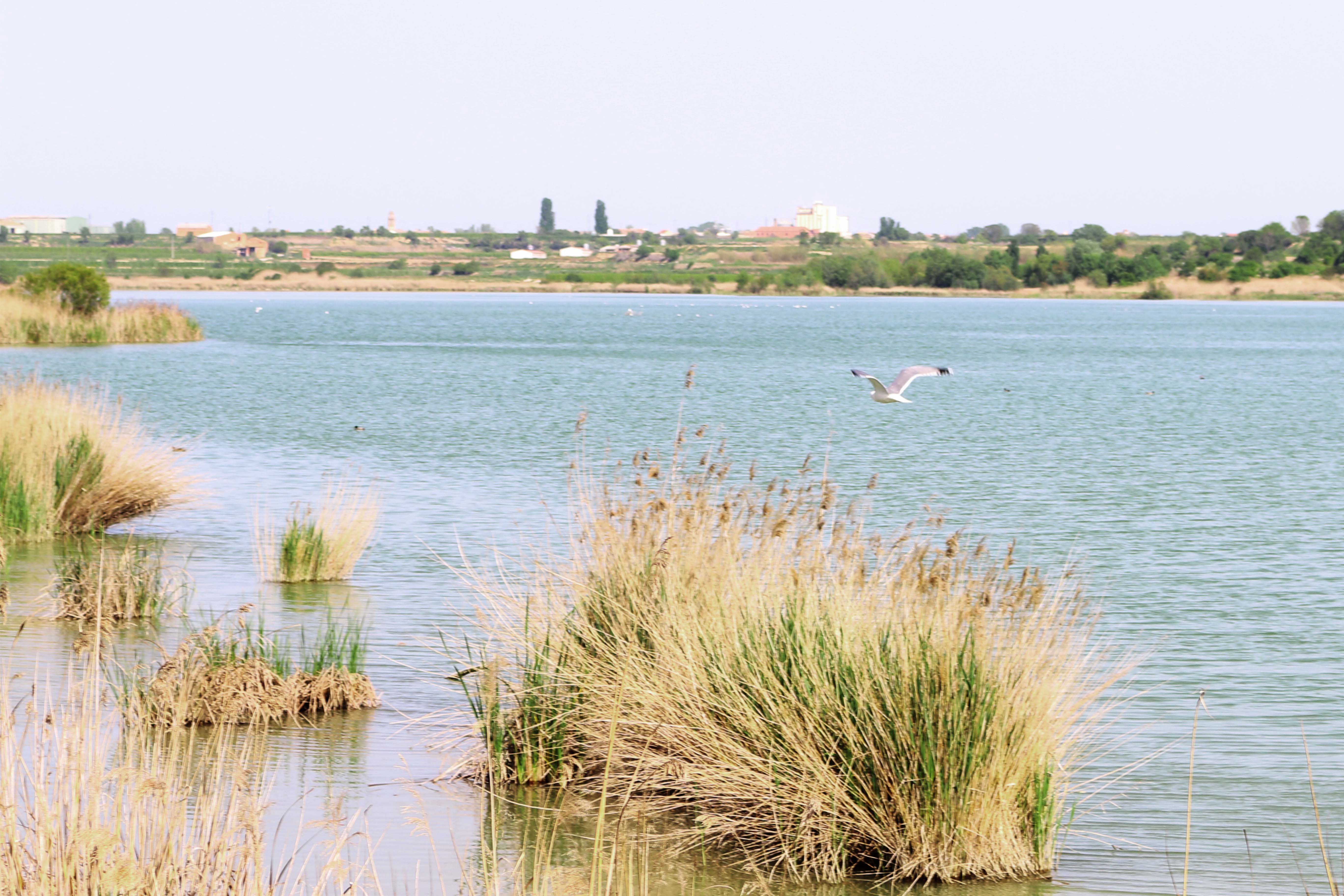 Estany d'Ivars