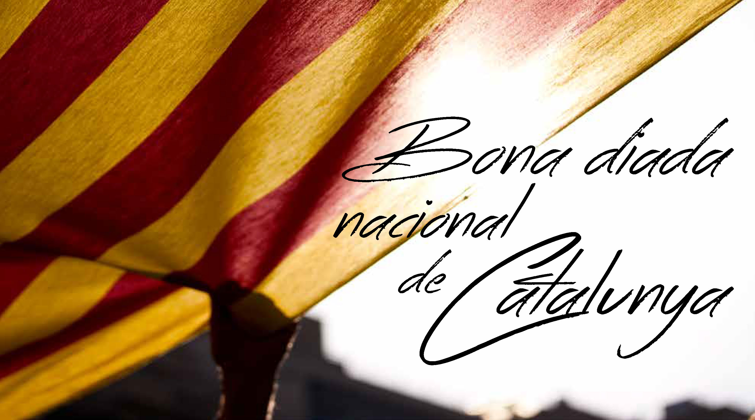 Diada Nacional