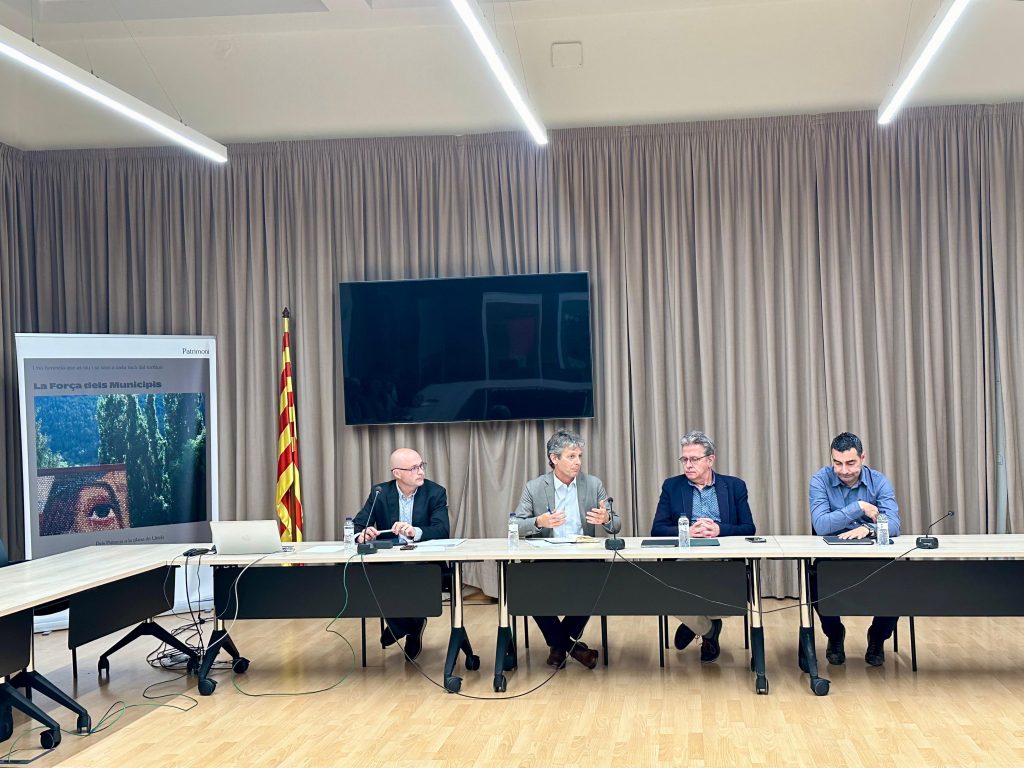 Reunió amb director d'Endesa i consells comarcals 2