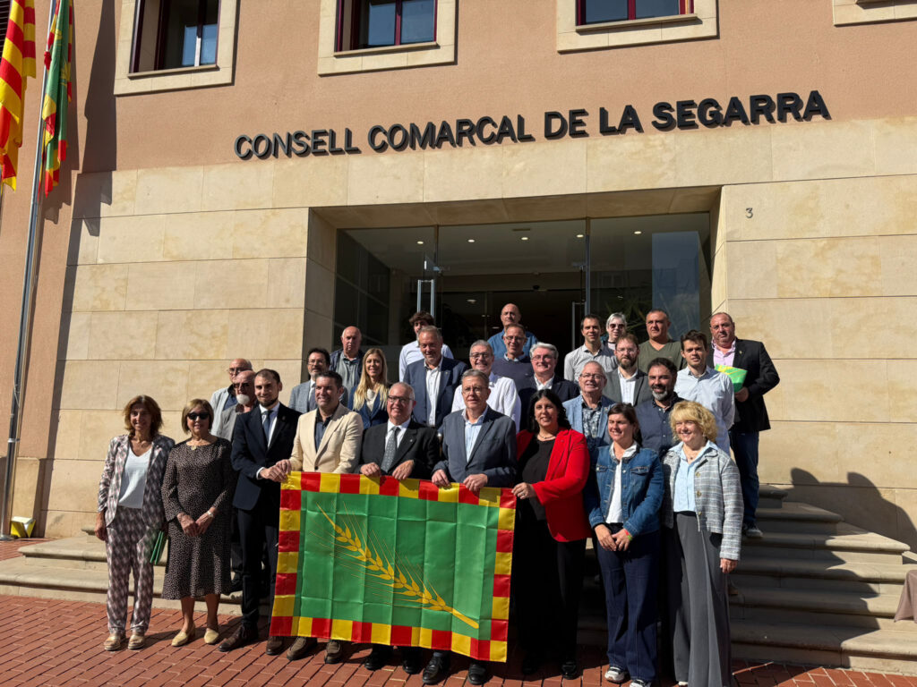 DIA COMARCA-1